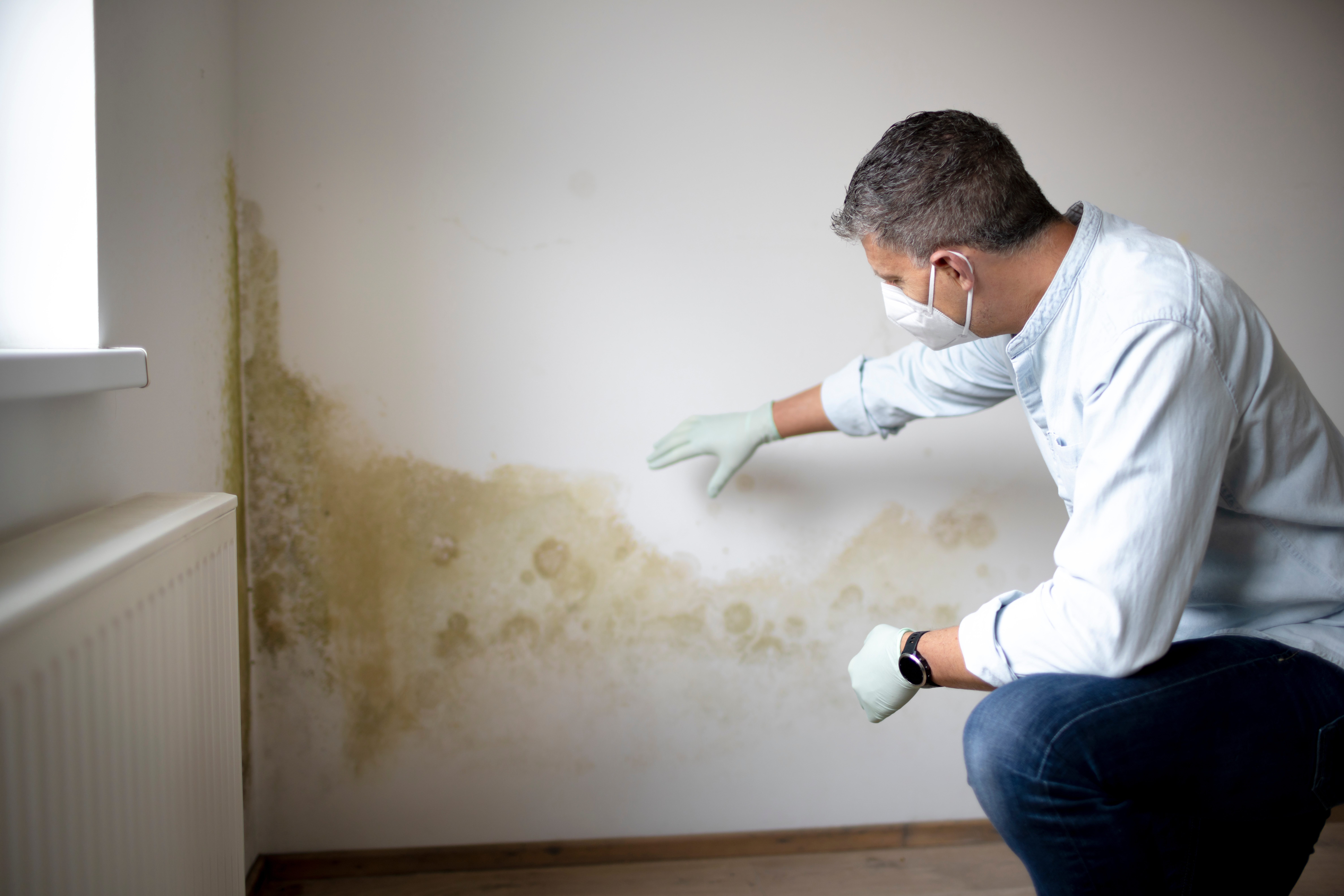 How to Spot Mold Before It Spreads