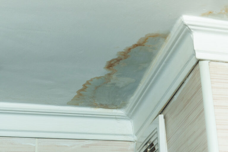 How to Prevent Mold After a Flood or Water Damage