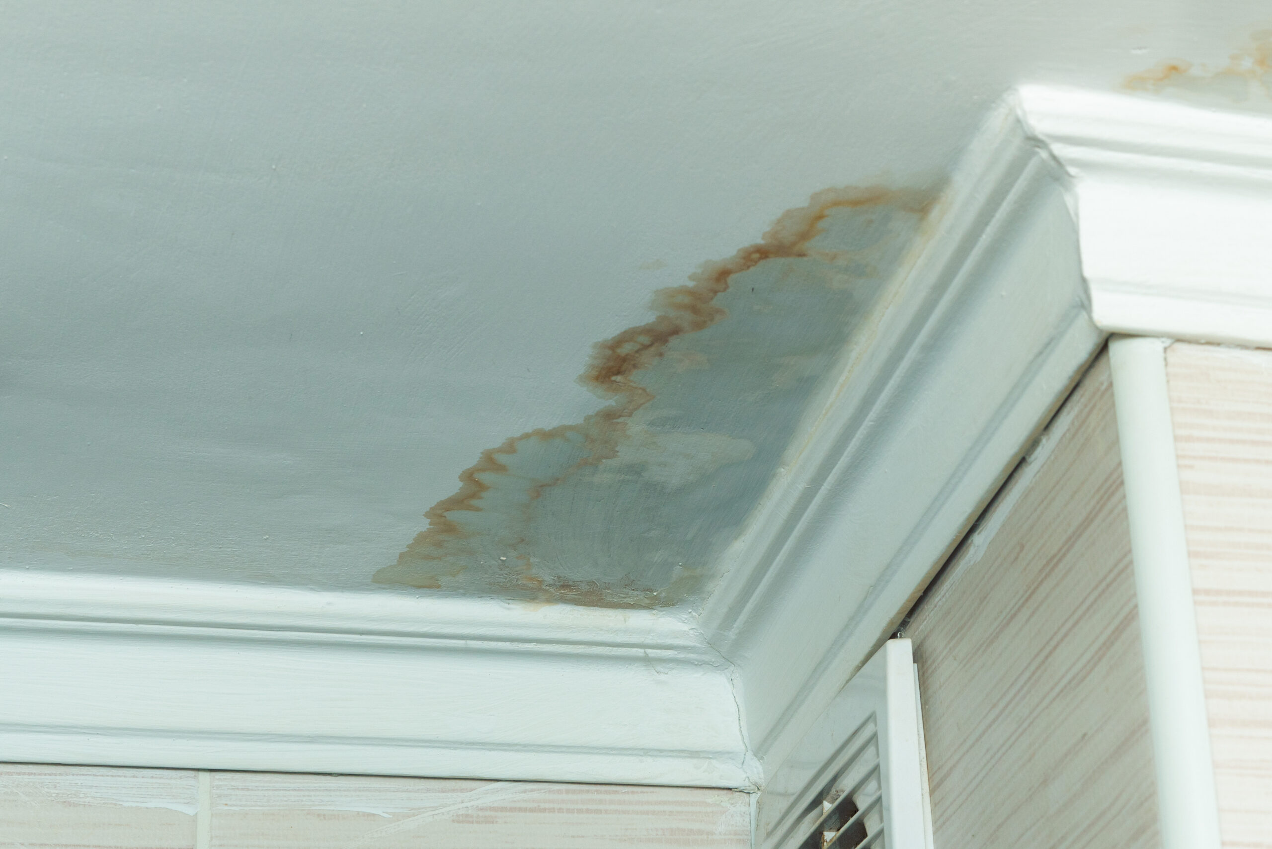 How to Prevent Mold After a Flood or Water Damage