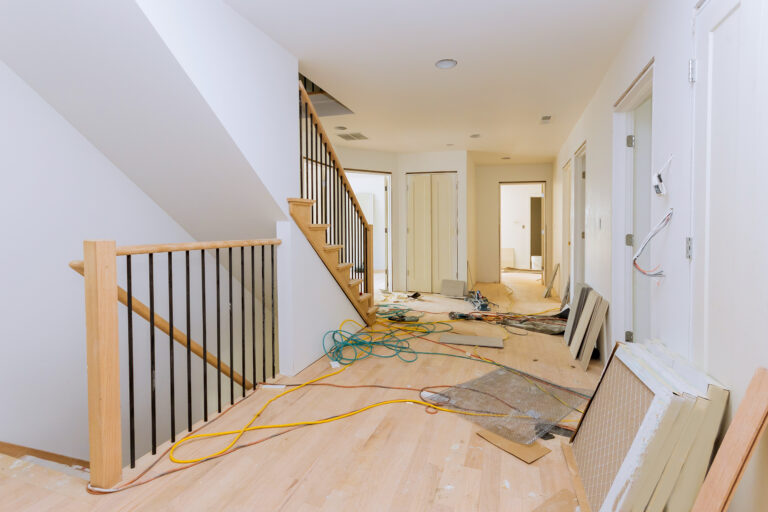 Best Company For Mold Remediation Near Me