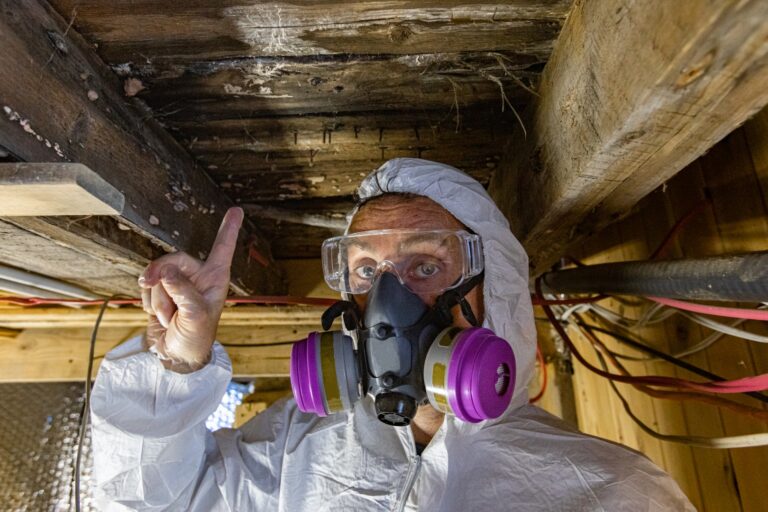 Can I Stay In My House During Mold Removal
